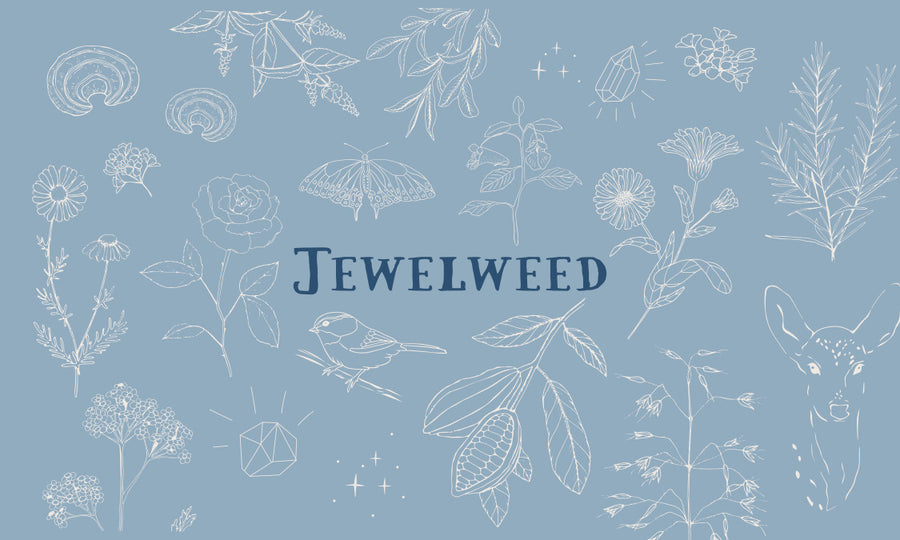 Jewelweed Excelsior Gift Card