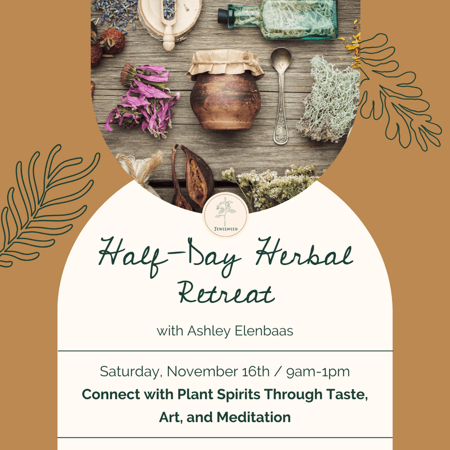 Half-Day Herbal Retreat: Connect with Plant Spirits Through Taste, Art, and Meditation - November 16th