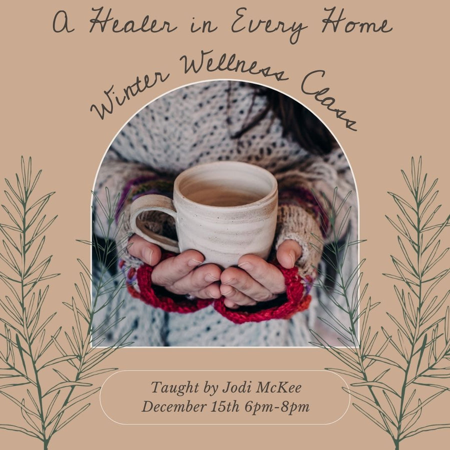 A Healer in Every Home; Winter Wellness with Jodi McKee (herbalist & owner of Jewelweed)- Monday, December 15th