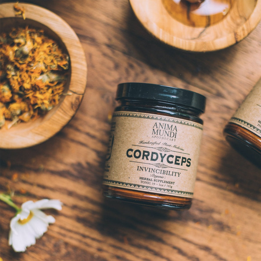 Cordyceps Powder